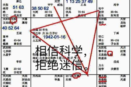 2025年4月6日酉时女命紫微斗数全解盘
