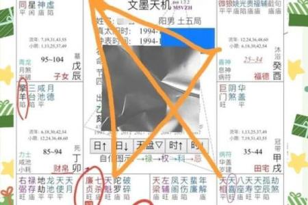 2025年4月11日寅时男命紫微斗数全解盘