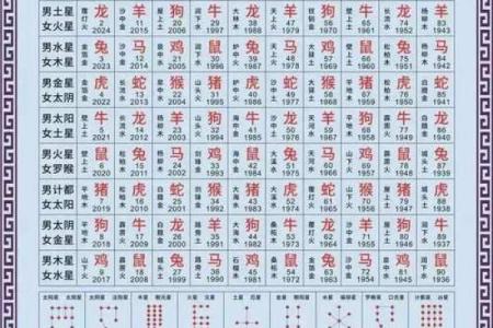 2025年4月18日午时男命紫微斗数全解盘