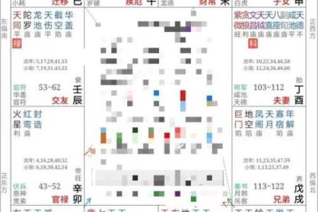 2025年4月7日酉时男命紫微斗数全解盘