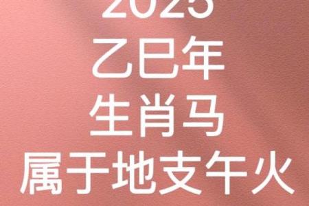 90年属马女2025年的运势 90年属马女2025年逐月运程大解析