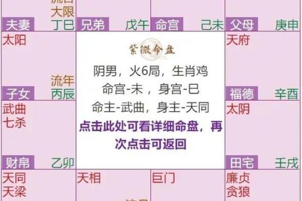 2025年4月15日寅时男命紫微斗数全解盘 2025年4月15日寅时男命紫微斗数全解盘