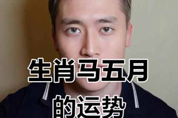 2025年属马的打牌的吉日 属马打牌什么日子好 2025年属马的打牌的吉日 属马打牌什么日子好