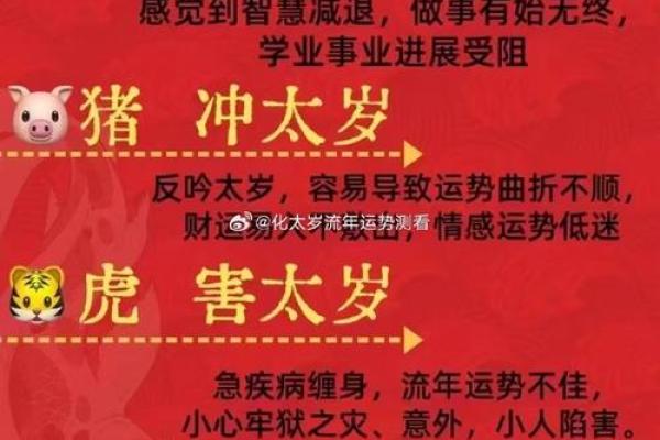 领证最忌三个日子属龙人2025年元旦结婚禁忌什么属相 领证最忌三个日子属龙人2025年元旦结婚禁忌什么属相