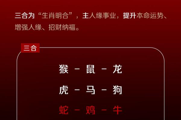 风吹云路追仙跑什么生肖 风吹云路追仙跑什么生肖