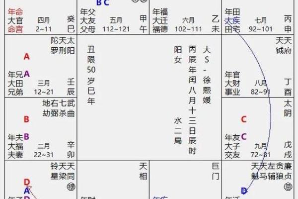 2025年4月26日子时女命紫微斗数全解盘 2025年4月26日子时女命紫微斗数全解盘