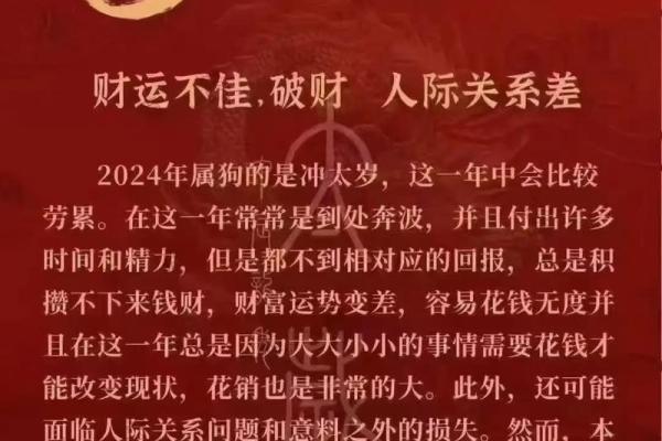 属狗人今天的运气和财运 狗今天偏财运最旺时间 属狗人今天的运气和财运 狗今天偏财运最旺时间