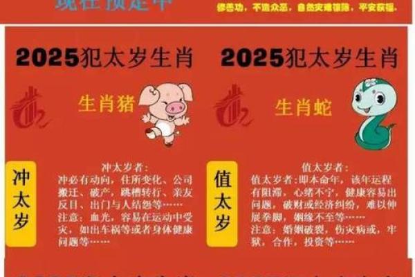属猪今年多大了2025 属猪今年多大了岁数表 属猪今年多大了2025 属猪今年多大了岁数表