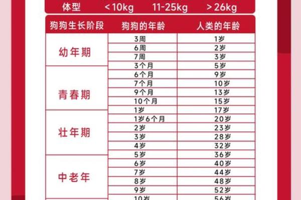 2006年狗五行属什么_2006年狗五行属性 2006年狗五行属什么_2006年狗五行属性