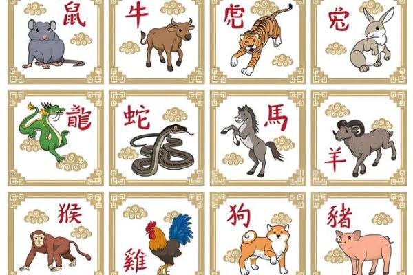 2006属狗男孩一生的命运 2006属狗几岁遇真爱 2006属狗男孩一生的命运 2006属狗几岁遇真爱
