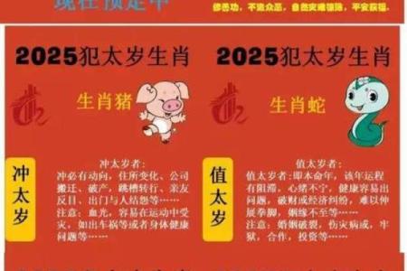 属猪今年多大了2025 属猪今年多大了岁数表
