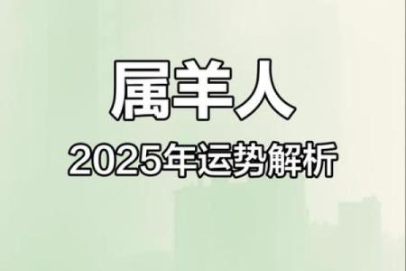 2015年羊2025年运势_2015年羊2025年运势解析未来十年运程大揭秘