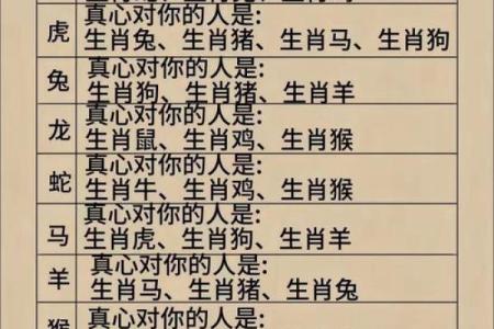 属羊与属龙的婚配怎么样 男羊配女龙属几等婚