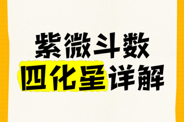 2025年4月29日酉时男命紫微斗数全解盘 2025年4月29日酉时男命紫微斗数全解盘