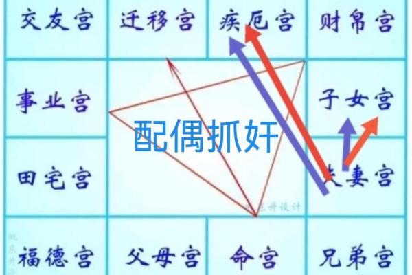 2025年4月11日未时女命紫微斗数全解盘 2025年4月11日未时女命紫微斗数全解盘