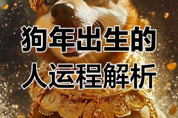2025属狗的多大了_属狗2025年属狗每月运势和运 2025属狗的多大了_属狗2025年属狗每月运势和运