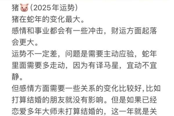 1971年2025年属猪人的全年运势 2025属猪血光之灾 1971年2025年属猪人的全年运势 2025属猪血光之灾