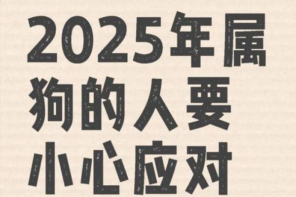 2025年属狗乔迁最好日子 2021年属狗乔迁吉日 2025年属狗乔迁最好日子 2021年属狗乔迁吉日