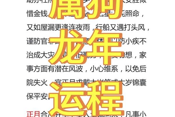 82年属狗2025年的运势及运程 2025年属狗运势解析82年出生者运程全揭秘 82年属狗2025年的运势及运程 2025年属狗运势解析82年出生者运程全揭秘