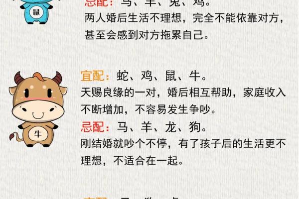 2002年属马最佳婚配属相_2002属马最佳配偶 2002年属马最佳婚配属相_2002属马最佳配偶