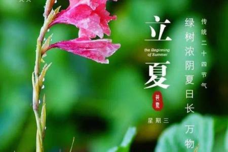 2021年立夏图片