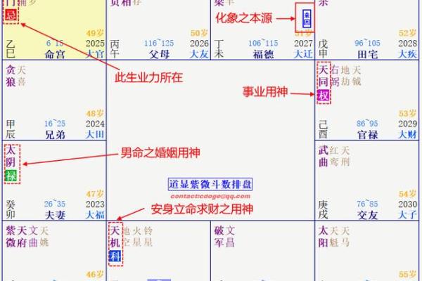 2025年4月21日申时男命紫微斗数全解盘 2025年4月21日申时男命紫微斗数全解盘
