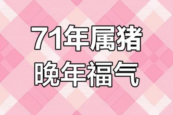 71年属猪的2025全年运势_71年属猪人未来5年的运势 71年属猪的2025全年运势_71年属猪人未来5年的运势