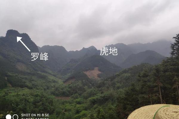 玄空风水181打造风水宝地的必备工具 玄空风水181打造风水宝地的必备工具