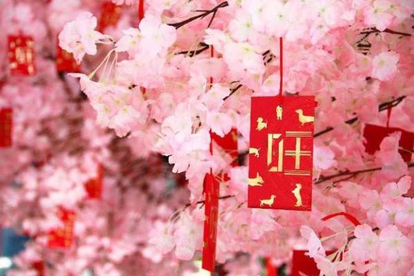 先生你家风水招桃花 先生你家风水招桃花TXT 先生你家风水招桃花 先生你家风水招桃花TXT