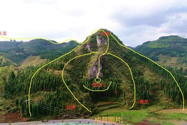 看墓地风水的方法