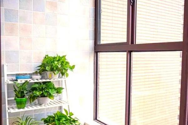 阳台东南的房子风水好不好 阳台东南的房子风水好不好