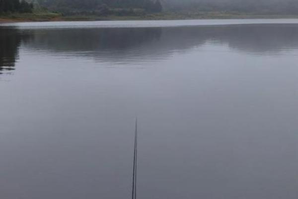 风水水库_30米深的水库钓鱼钓多深 风水水库_30米深的水库钓鱼钓多深