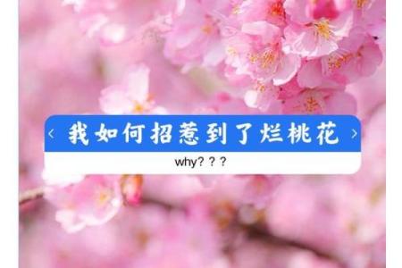 婚恋之防烂桃花的风水是怎样的