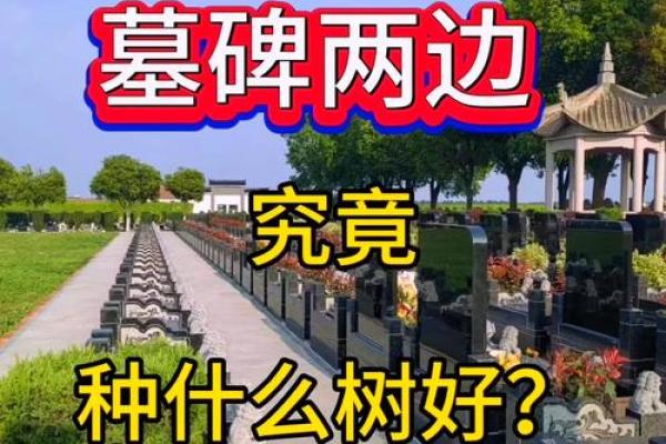 什么样的墓地风水好 什么样的墓地风水好