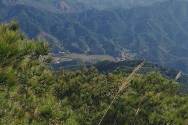 浦北苏村风水 浦北苏村风水