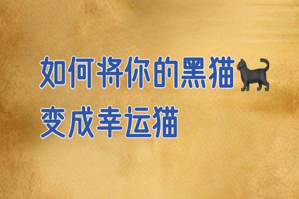 风水猫不请自来兆头寓意什么 风水猫不请自来兆头寓意什么