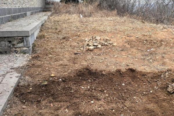 别乱栽树,坏了风水哭都来不及 别乱栽树,坏了风水哭都来不及