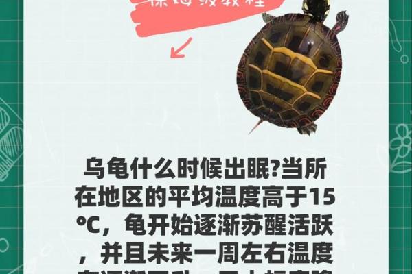 住宅养龟风水禁忌有什么说法作用