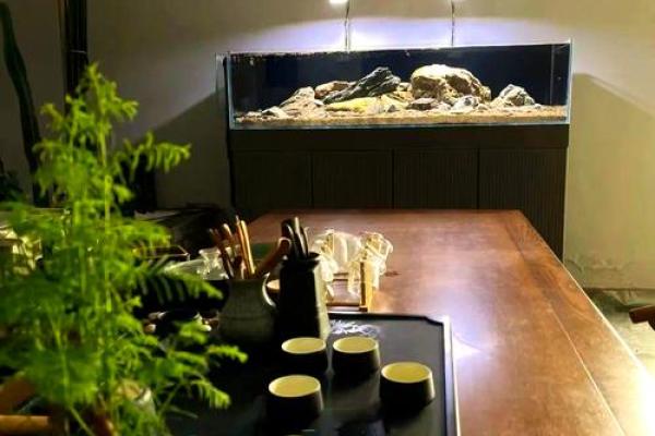 茶几鱼缸的风水 茶几鱼缸的风水