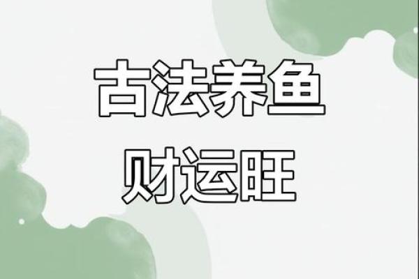 记住这些养鱼风水,会让你财源滚滚来