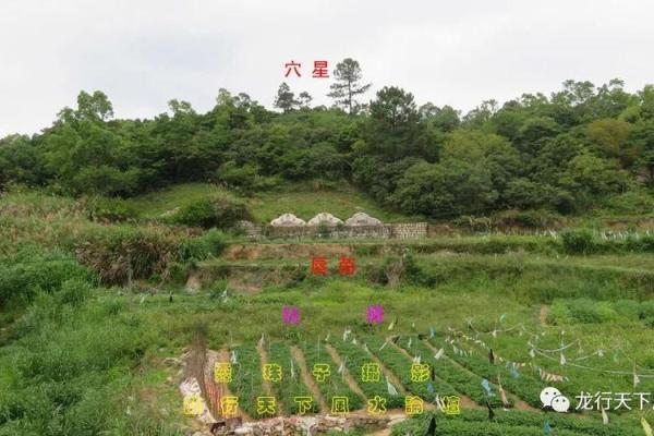 为何祖坟风水与后人息息相关? 为何祖坟风水与后人息息相关?