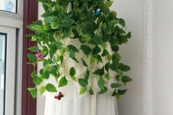 家里摆放假花会影响风水吗 家里摆放假花会影响风水吗