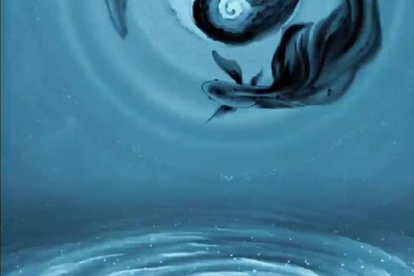 营造风水宝地之风水小太极