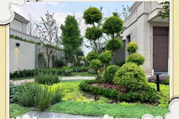 房子各个方位栽树好吗风水