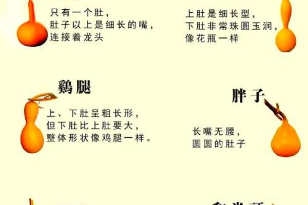 风水学什么属相不能挂葫芦及化解方法