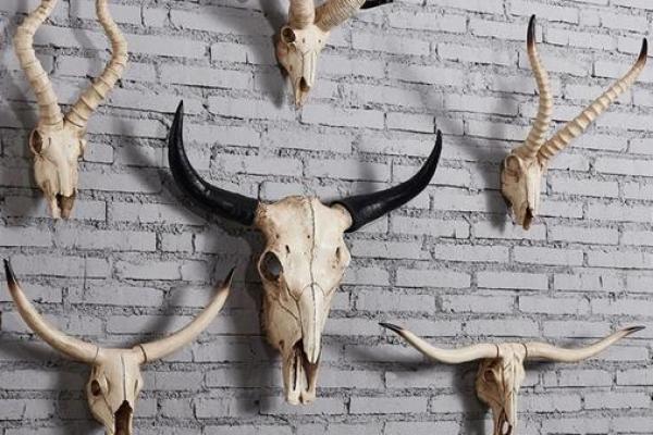 鹿角风水是中国传统文化中的重要组成部分 鹿角风水是中国传统文化中的重要组成部分