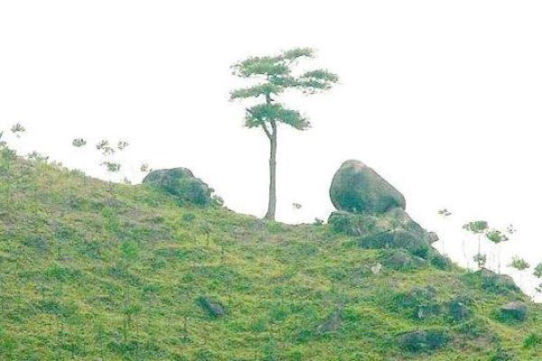 中国风水文化第一村:三僚村 中国风水文化第一村:三僚村