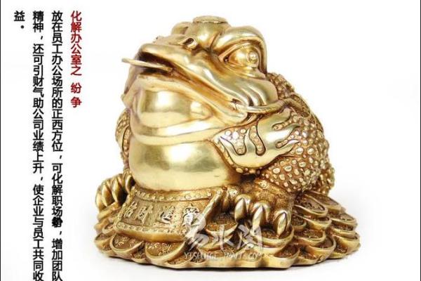 袜子风水行大运、除小人、旺财 袜子风水行大运、除小人、旺财