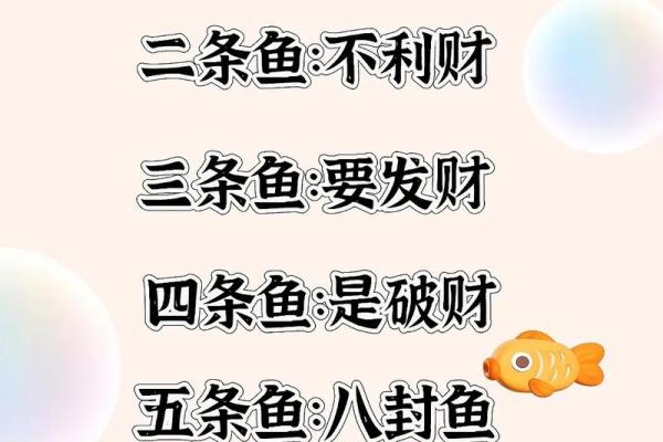 办公室养鱼风水也有讲究 不注意的话就犯了大忌 办公室养鱼风水也有讲究 不注意的话就犯了大忌