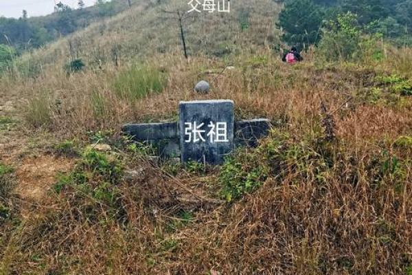 详谈祖坟墓地风水讲究大全 详谈祖坟墓地风水讲究大全